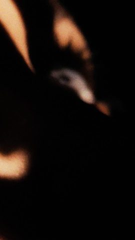 559569818_1131364169204296_1294382660219197220_n